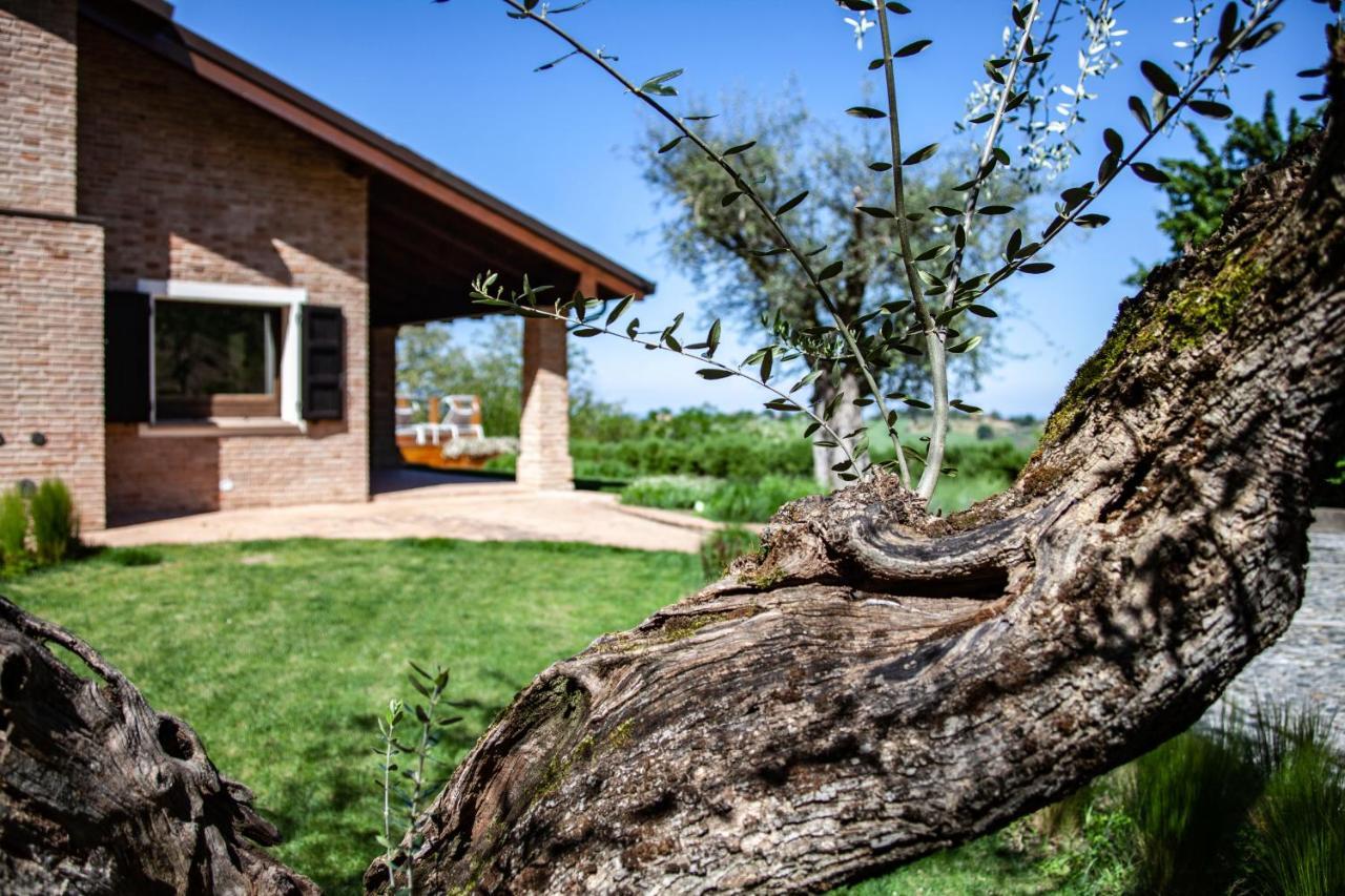 Paola Bed & Breakfast Longiano